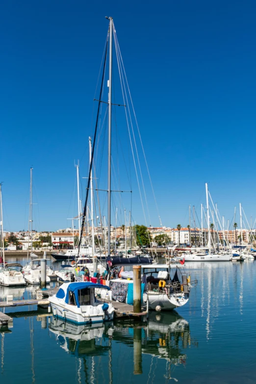 a number of boats in a body of water, a portrait, shutterstock, happening, jerez, sunny afternoon, square, today\'s featured photograph 4k