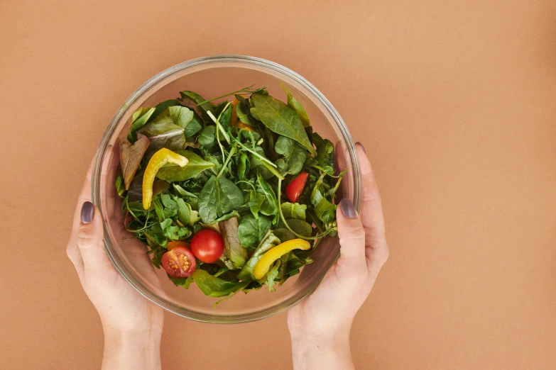 a close up of a person holding a bowl of food, a picture, greens, on clear background, uncrop, thumbnail