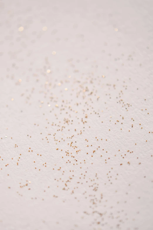 a couple of birds standing on top of a snow covered ground, an ultrafine detailed painting, inspired by Lucio Fontana, trending on pexels, scattered golden flakes, detail shot, soft white rubber, glitter gif