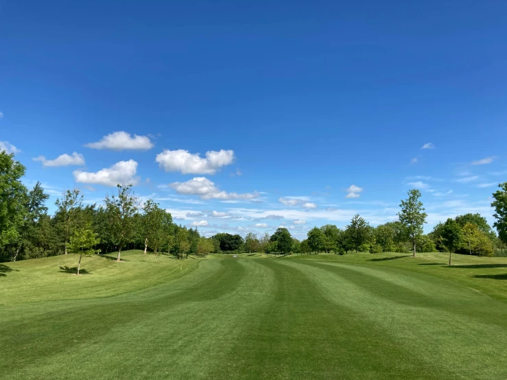 a green golf course with trees in the background, a picture, clear blue skies, thumbnail, subtle detailing, looking towards camera