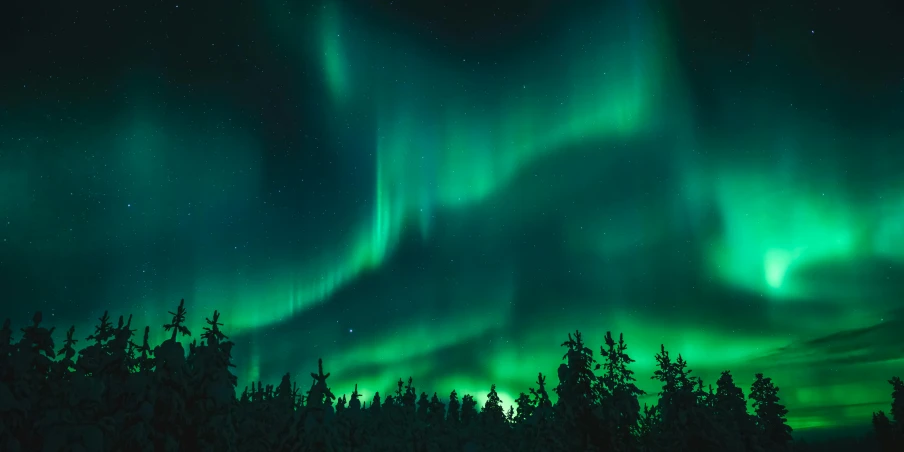 the aurora bore lights up the night sky, pexels contest winner, hurufiyya, bright nordic forest, green neon signs, istock, spruce trees
