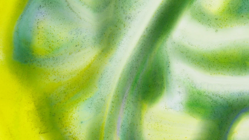 a close up of a green leaf on a yellow background, a microscopic photo, inspired by Art Green, lyrical abstraction, iridescent glass, white neon wash, 2010s, painted metal and glass