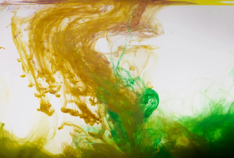 a green and yellow substance is in the water, an abstract drawing, inspired by Kim Keever, pexels, mustard, made of liquid, rainbow liquids, dark brown white green colours