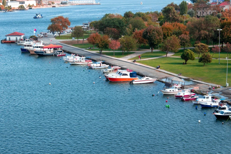 a large body of water filled with lots of boats, a park, michigan, in a row, picton blue