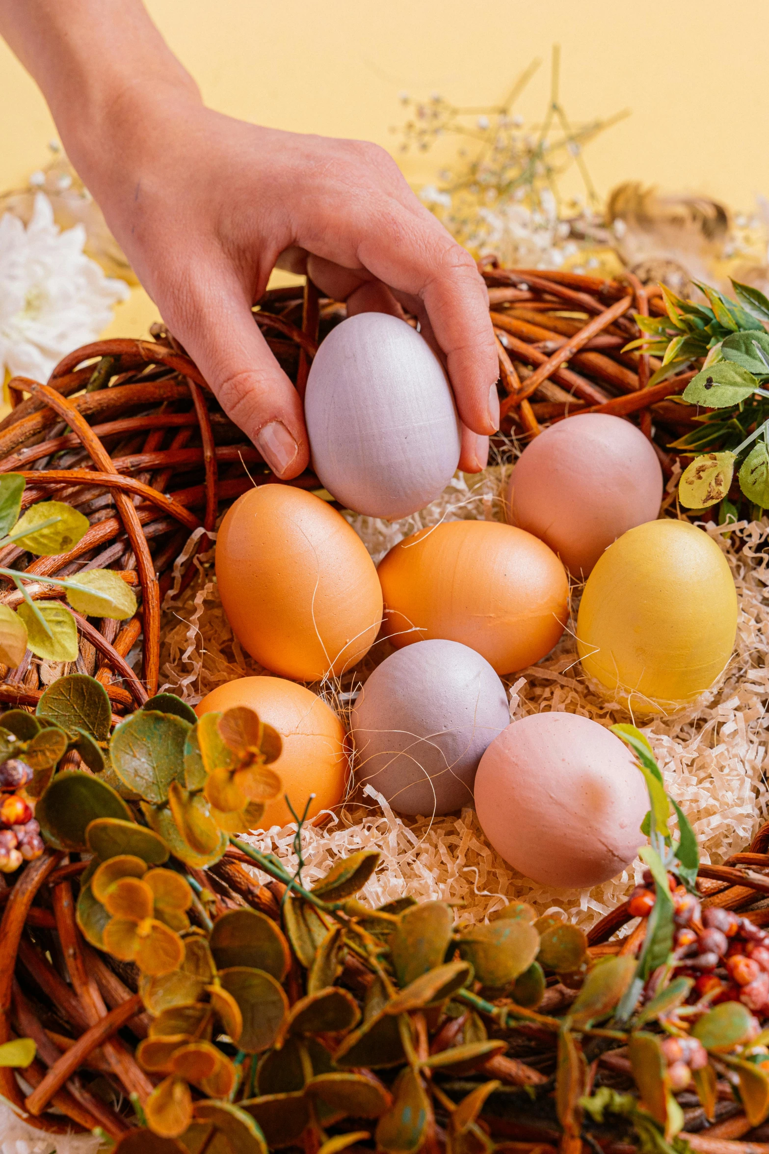 a person placing colored eggs in a nest, a colorized photo, by Elizabeth Durack, trending on pexels, soft skin, high angle close up shot, “ iron bark, with colorful flowers and plants