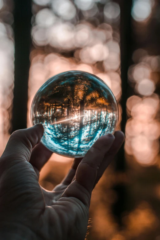 a person holding a crystal ball in their hand, with a tree in the background, profile pic, backlit, multiple stories