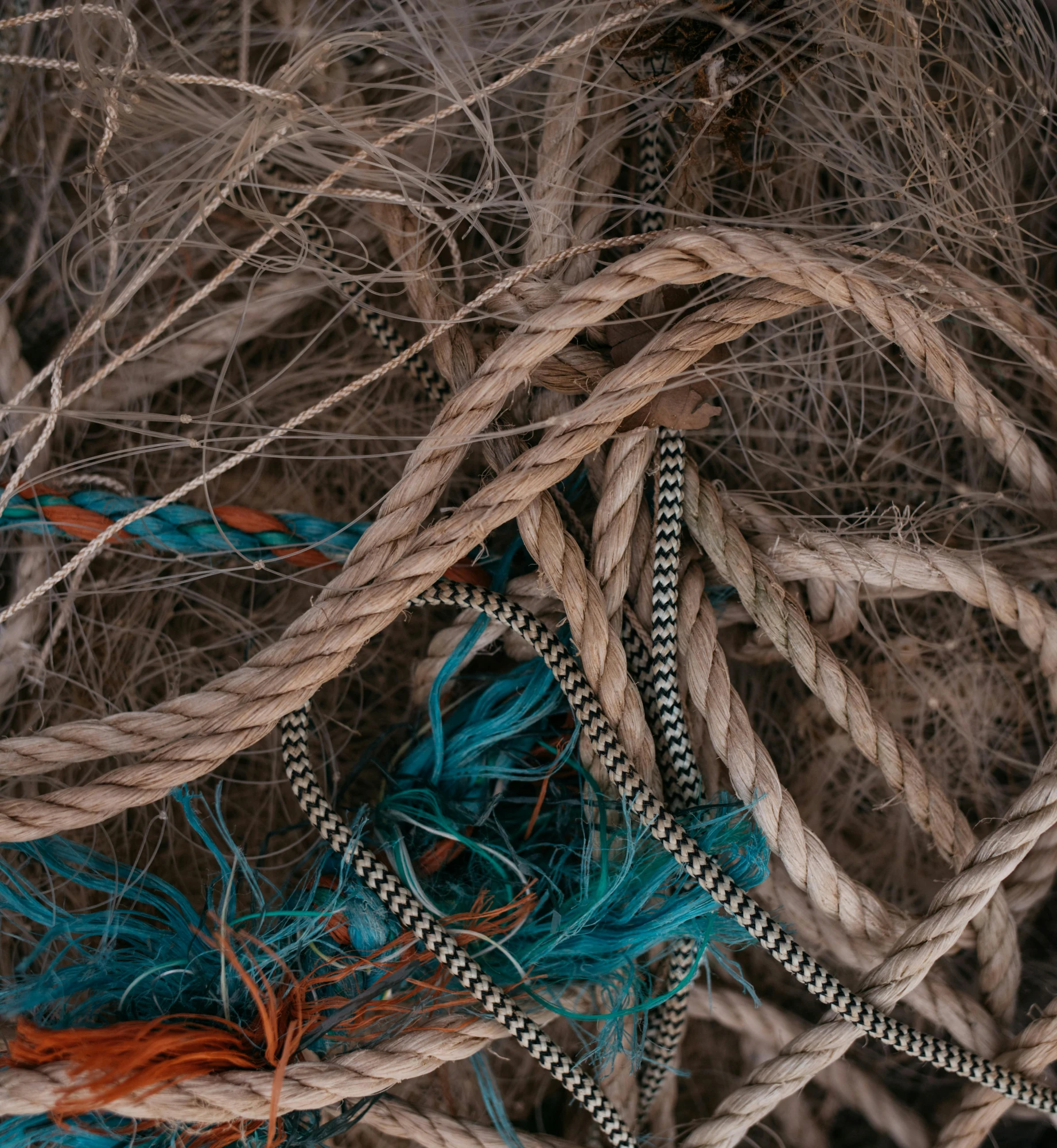 a pile of rope sitting on top of a pile of wood, an album cover, by Elsa Bleda, unsplash, hurufiyya, brown and cyan blue color scheme, mesh roots. closeup, currents, ignant