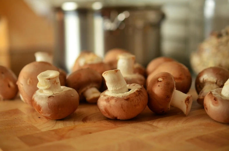 a bunch of mushrooms sitting on top of a wooden cutting board, unsplash, gradient brown to silver, soup, medium close shot, 6 pack