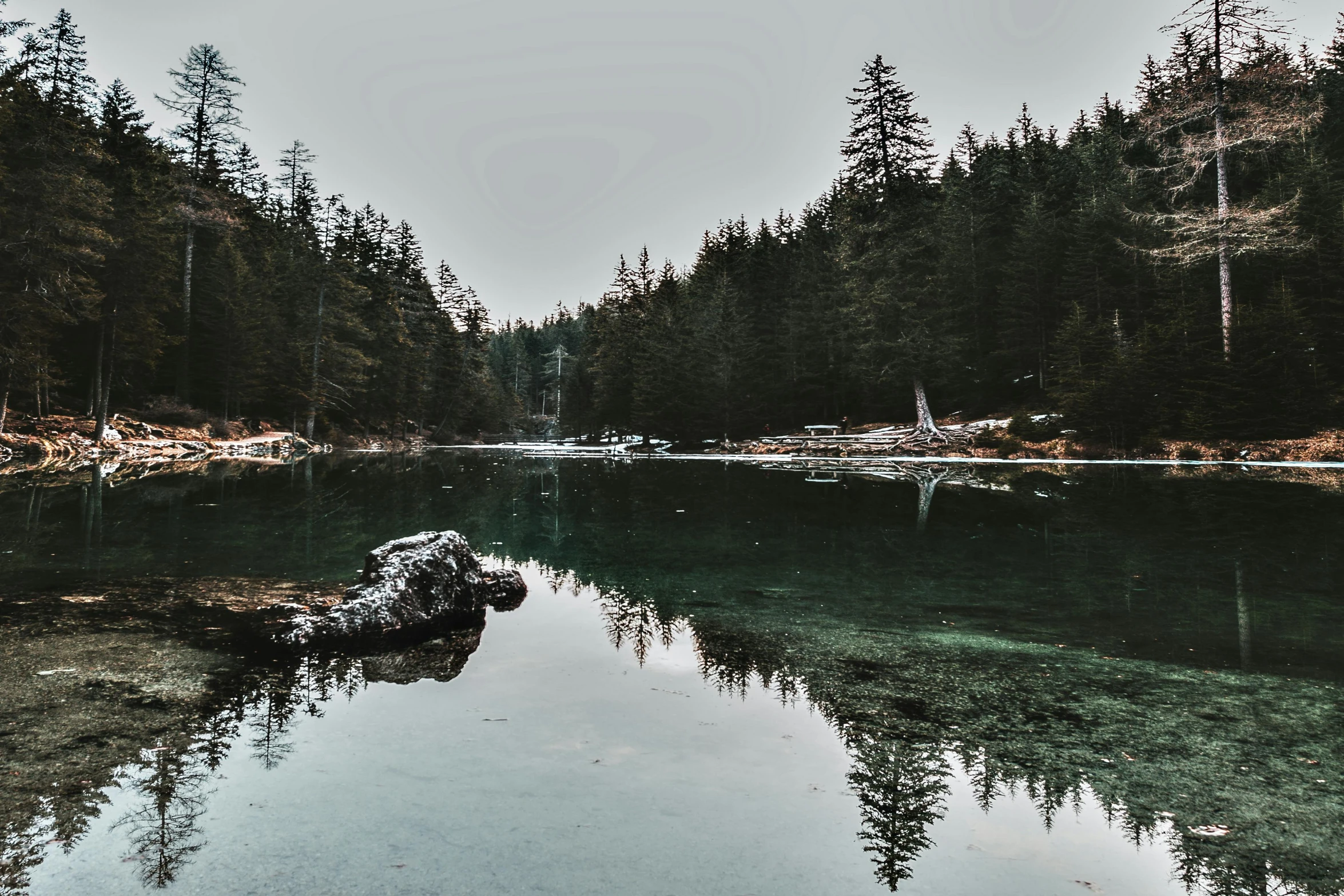 a large body of water surrounded by trees, by Sebastian Spreng, pexels contest winner, hurufiyya, cold colors, crystal clear, grey forest background, nostalgic vibes