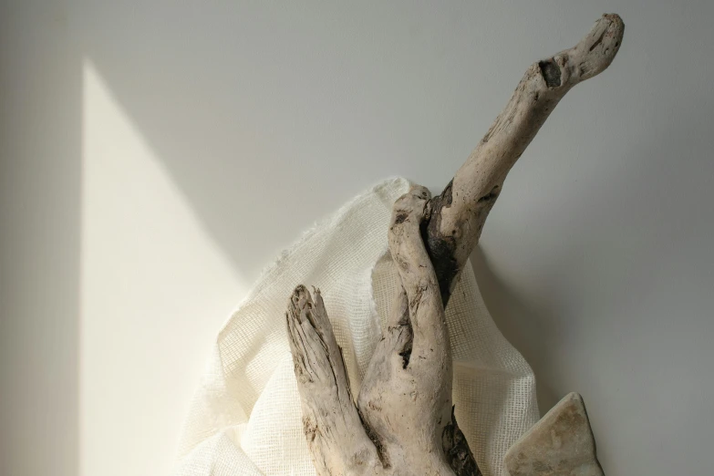 a close up of a piece of wood on a wall, inspired by Sarah Lucas, unsplash, white cloth in wind shining, transplanted hand to head, driftwood sculpture, medium gargoyle soft light