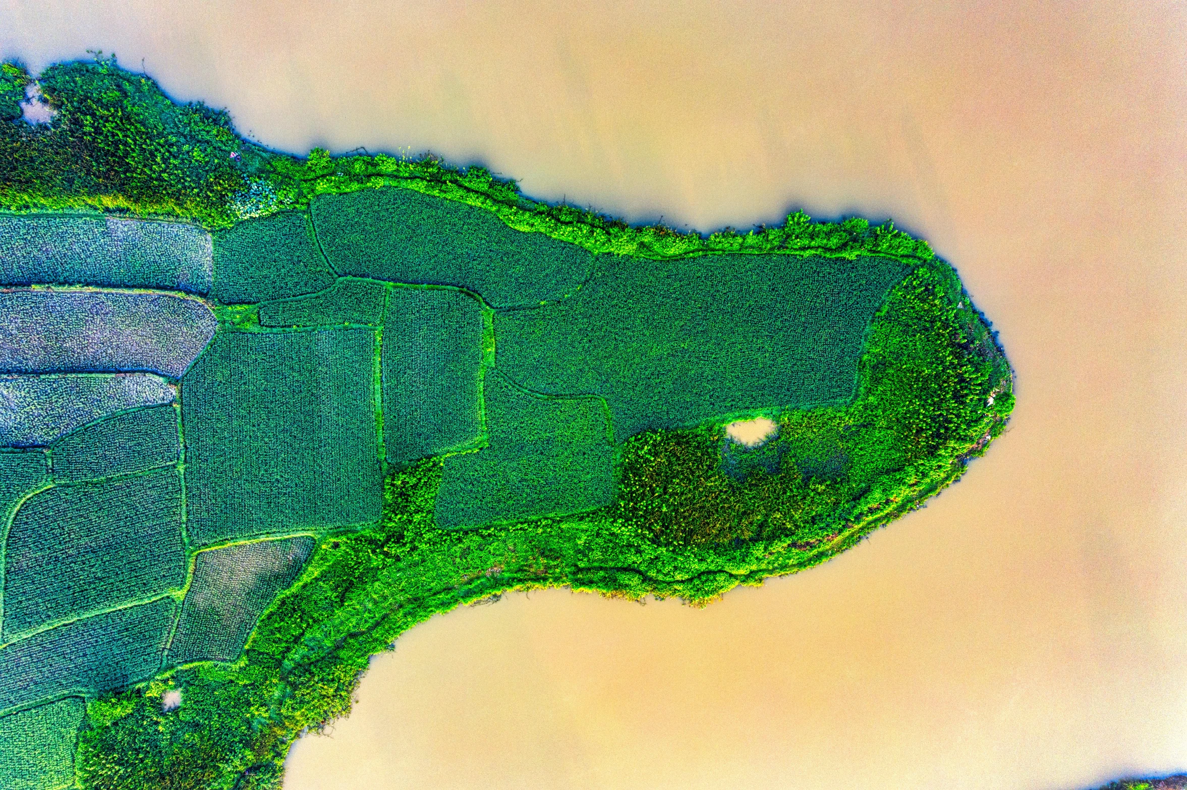 a bird's eye view of a golf course, an album cover, by Daniel Lieske, pexels, land art, nile river environment, green skin with scales, bangladesh, an intact ancient alien ship