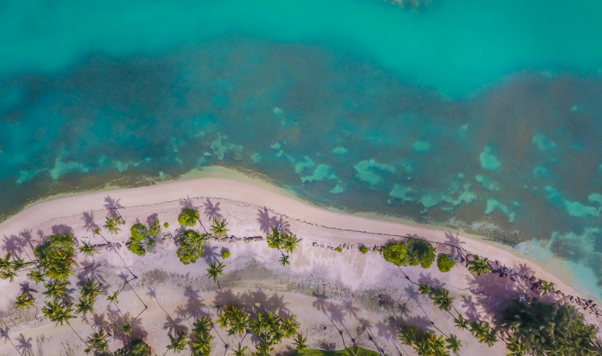 an aerial view of a beach with palm trees, by Julian Allen, pexels contest winner, hurufiyya, polynesian style, less detailing, blue and green water, thumbnail