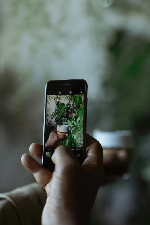 a close up of a person holding a cell phone, a picture, inspired by Elsa Bleda, trending on unsplash, lush foliage, home video footage, shot on hasselblad, photorealistic”