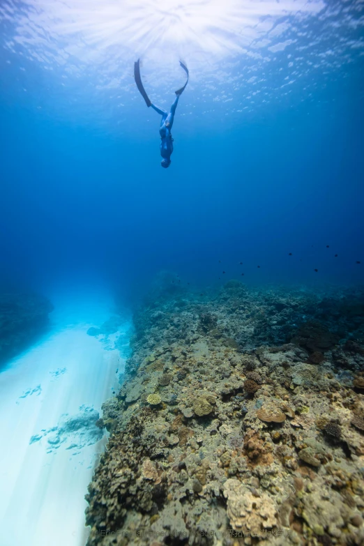 a person swimming in the ocean on a sunny day, inspired by Edwin Deakin, great barrier reef, extreme narrow, blue sand, scuba diving