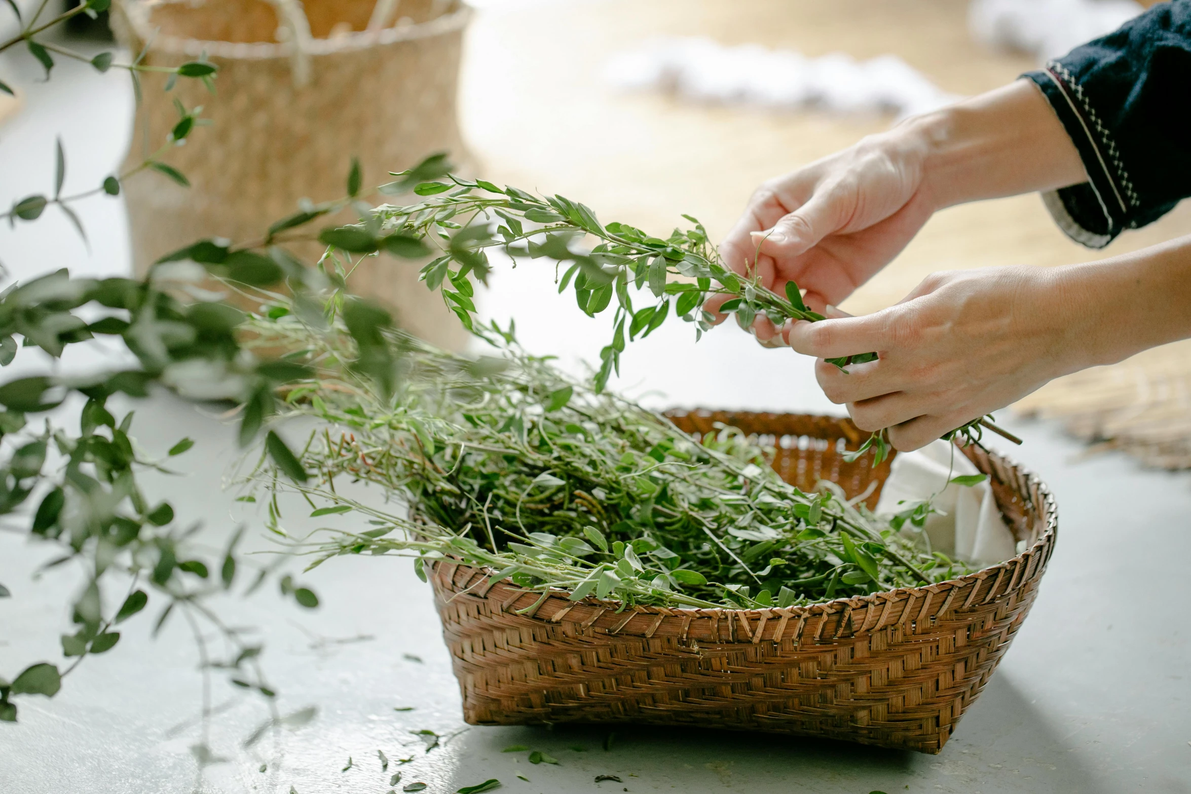 a person putting herbs in a basket on a table, trending on pexels, process art, wearing a crown of vines, crisp edges, manuka, hanging vines