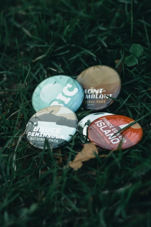 a group of buttons sitting on top of a lush green field, by Adam Chmielowski, private press, promotional, worn, cans, island