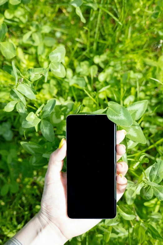 a person holding a cell phone in their hand, green foliage, 2 5 6 x 2 5 6 pixels, sustainable materials, in a field