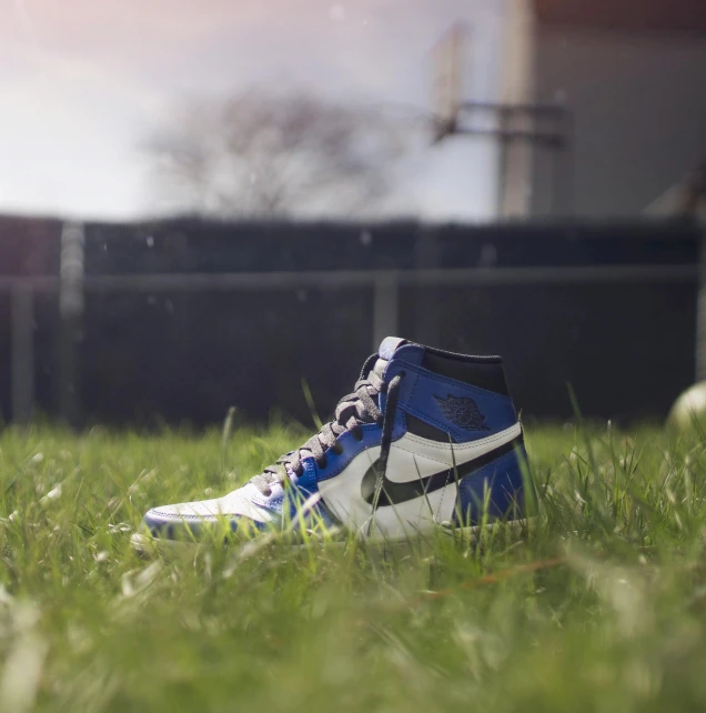 a pair of sneakers sitting on top of a lush green field, an album cover, inspired by Jordan Grimmer, pexels, photorealism, “air jordan 1, blue shoes, profile shot, high detail 4k