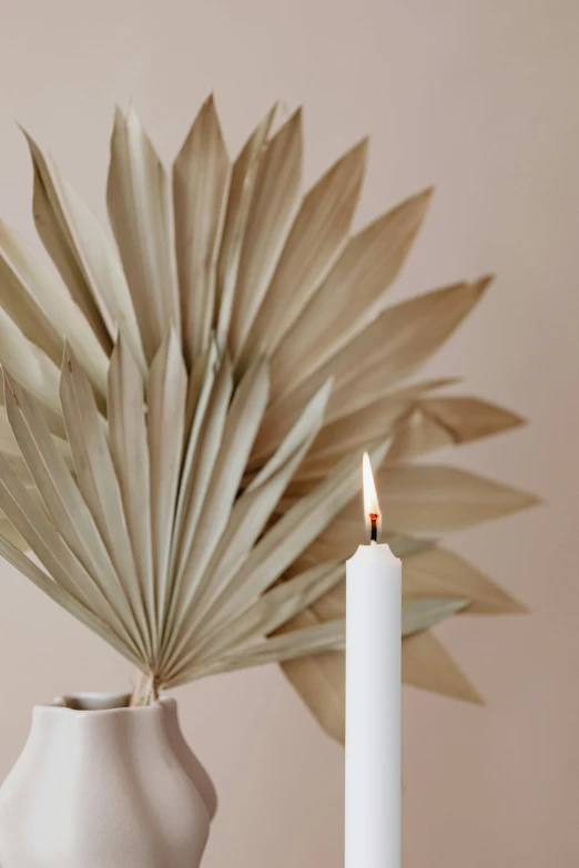 a white vase sitting on top of a table next to a candle, palm skin, sparse detail, profile image, muted palette