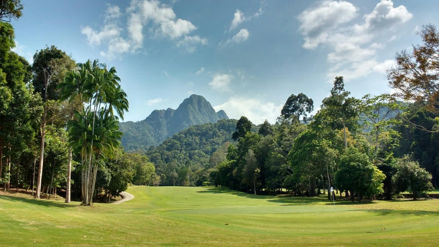 a golf course with trees and mountains in the background, a photo, hurufiyya, malaysian, children's, straya, contain