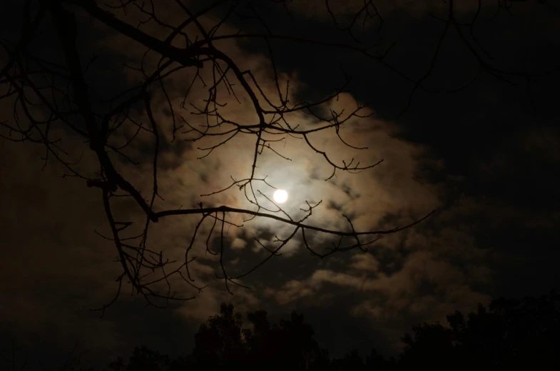 a full moon is seen through the branches of a tree, by Steven Belledin, pexels contest winner, moonlit clouds background, ☁🌪🌙👩🏾, scary night, australian winter night