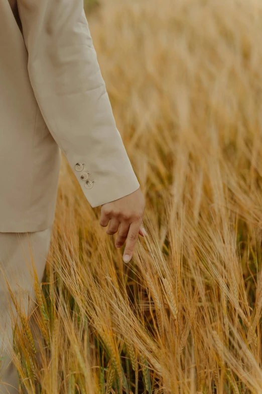 a man in a suit walking through a wheat field, by Anna Boch, trending on unsplash, renaissance, beige, sleek hands, ignant, sustainable materials