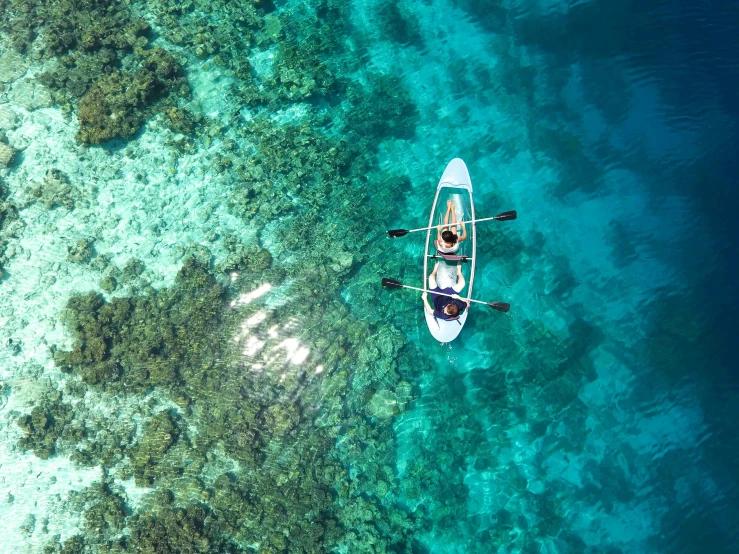 a couple of people riding on top of a boat, pexels contest winner, hurufiyya, reefs, paddle of water, flatlay, teaser