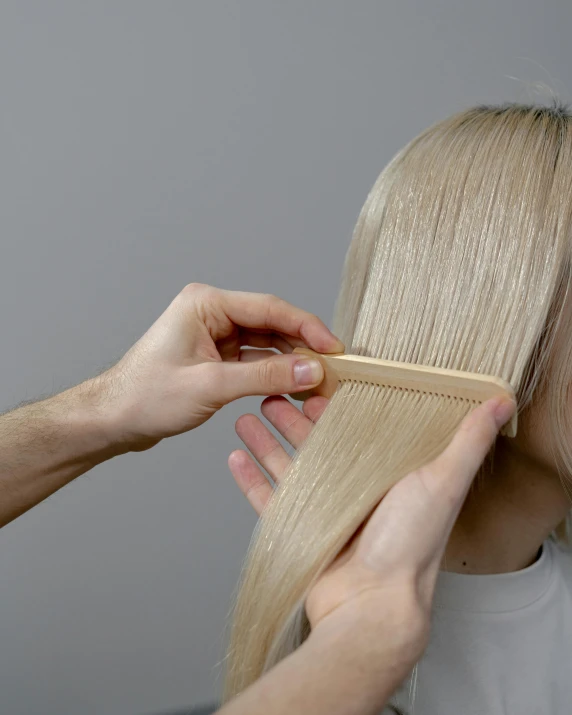 a woman is combing another woman's hair, by Grace Clements, extra-light natural blonde hair, hammershøi, detailed product image, closeup - view