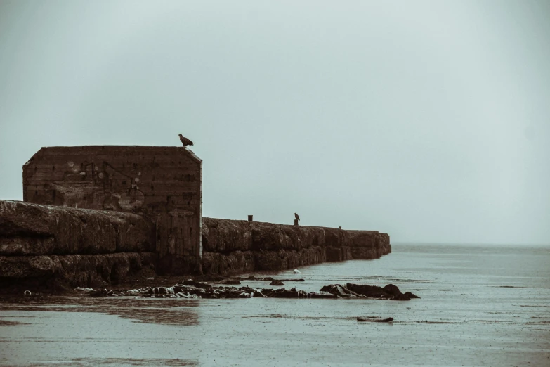 a bird sitting on top of a wall next to the ocean, pexels contest winner, minimalism, old photo of a creepy landscape, maryport, people angling at the edge, background fortress
