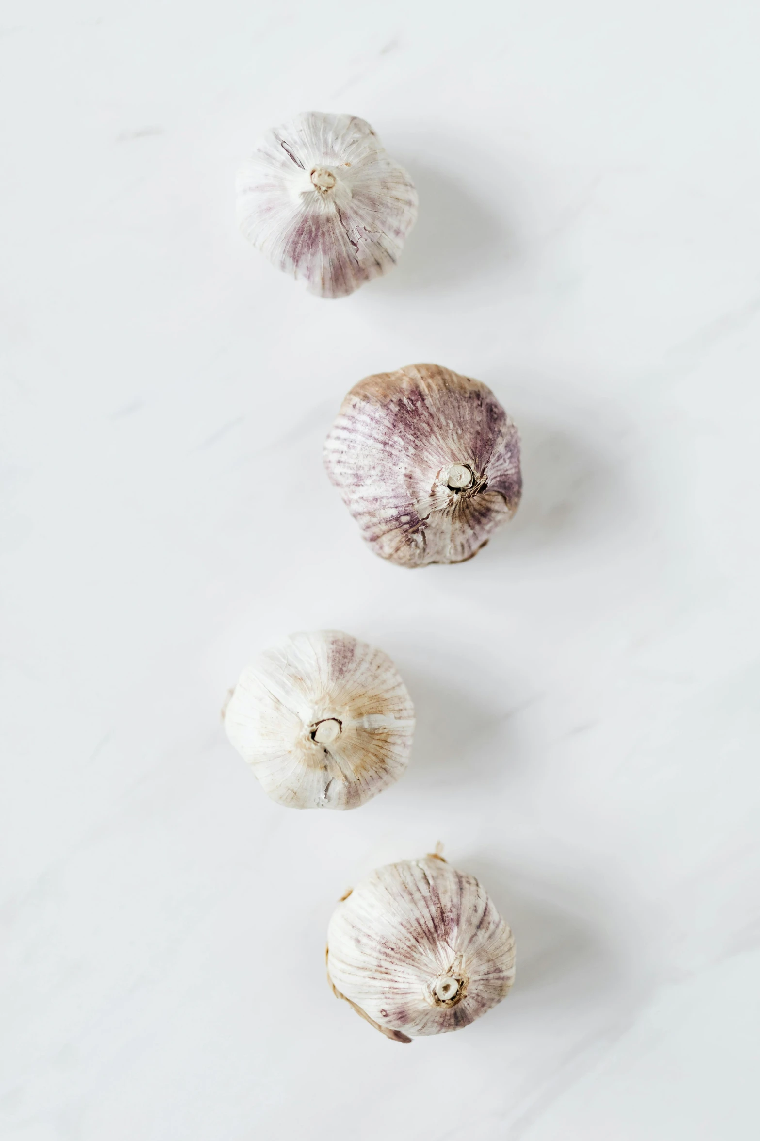 a number of cloves of garlic on a table, unsplash, arabesque, set against a white background, all marble, silver haired, official product photo