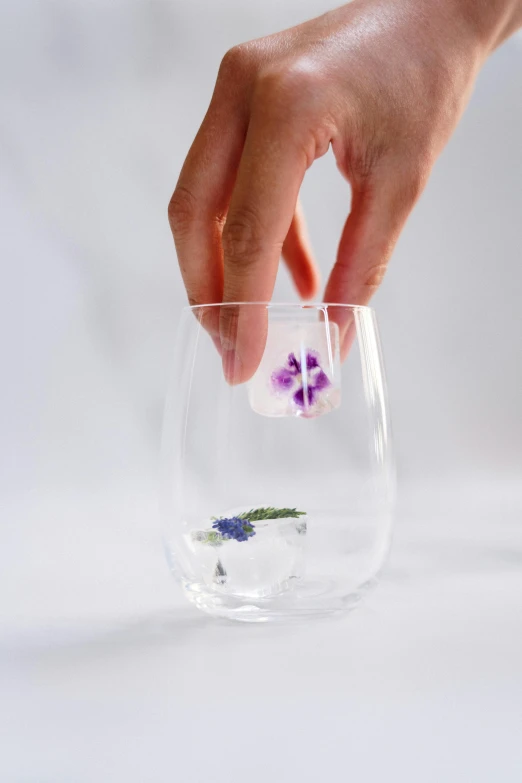 a close up of a person holding a glass with flowers in it, white and purple, cryogenic pods, product shot, lobelia