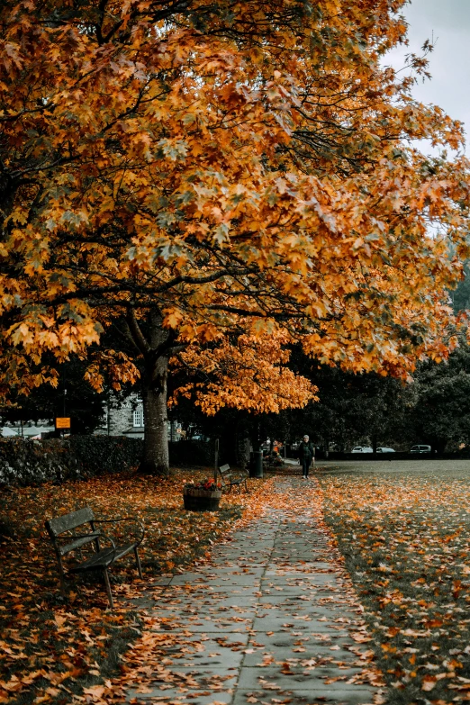 a bench sitting on top of a sidewalk next to a tree, unsplash contest winner, autumn field, people walking around, square, covered in leaves