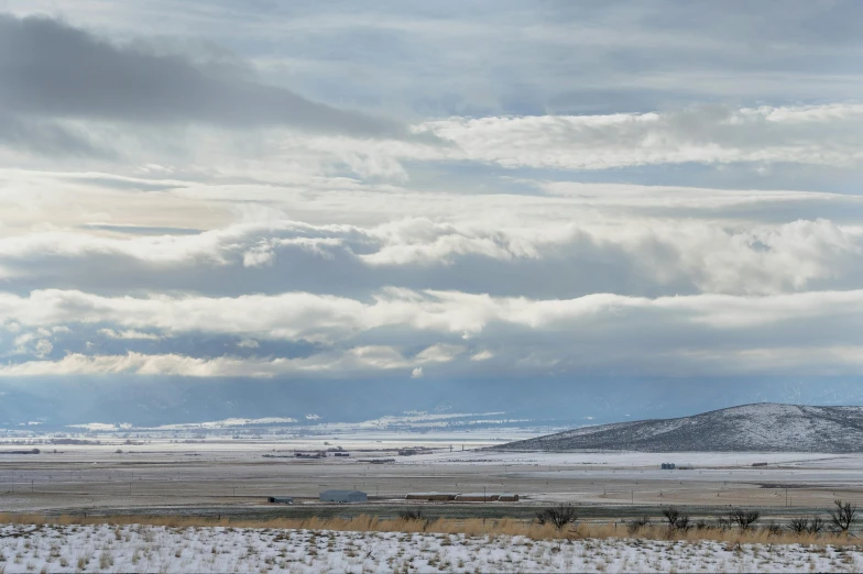 a herd of cattle standing on top of a snow covered field, by Jeffrey Smith, unsplash, land art, panorama distant view, altostratus clouds, runway photo, idaho