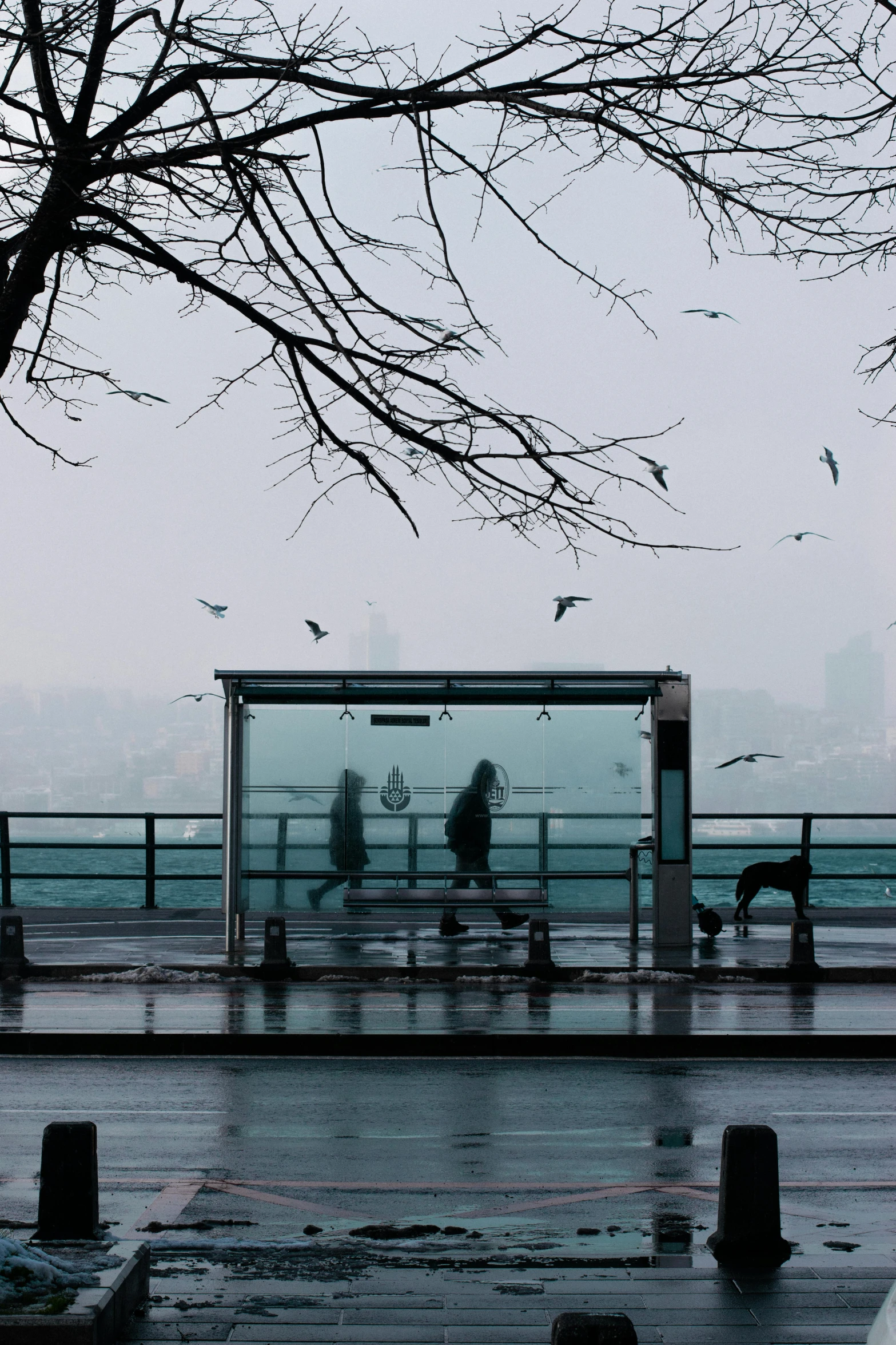 people waiting at a bus stop on a rainy day, a poster, by irakli nadar, pexels contest winner, the sea seen behind the city, turkey, benches, frosted glass