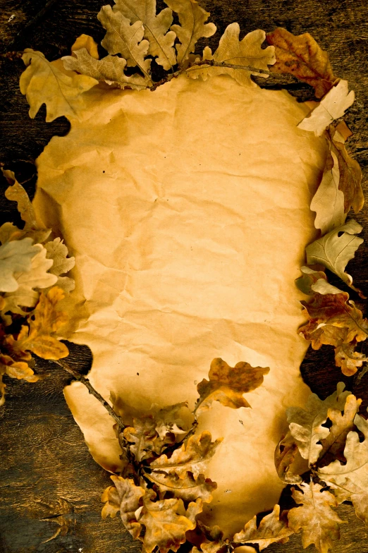 a cake sitting on top of a wooden table covered in leaves, yellowed paper, paul barson, oak leaf beard, parchment paper