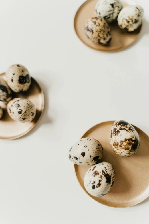 quails and a plate of quails on a white table, trending on unsplash, baroque, eggshell color, thumbnail, bronze, sleek round shapes