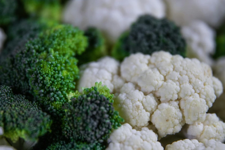 a close up of broccoli florets and cauliflower, a macro photograph, pexels, fantastic realism, intense albino, 6 pack, multicoloured, grey