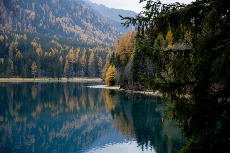 a large body of water surrounded by trees, by Sebastian Spreng, pexels contest winner, alpes, pine trees in the background, mid fall, conde nast traveler photo