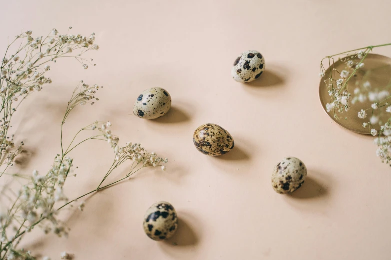 a bunch of eggs sitting on top of a table, an album cover, by Emma Andijewska, trending on pexels, arabesque, botanicals, polka dot, small animals, 5k