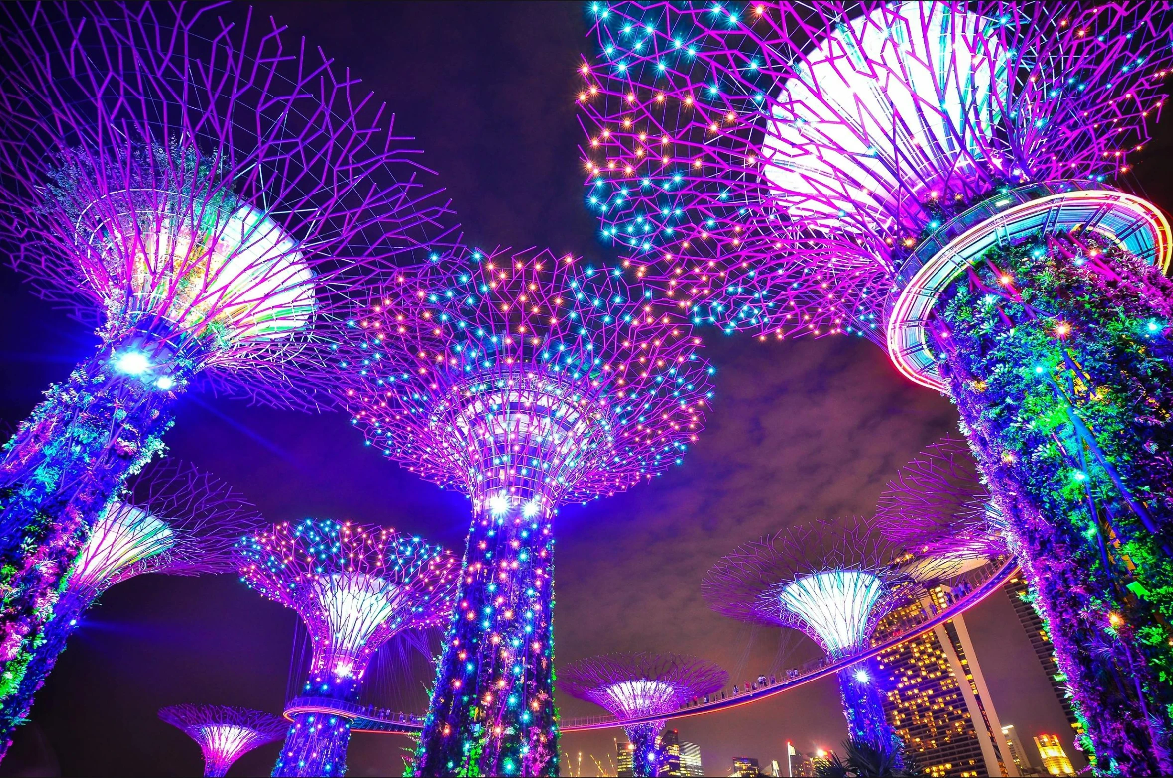 a group of trees that are lit up at night, inspired by Bruce Munro, pexels contest winner, interactive art, singapore, avatar image, mushroom structures, vivid colors!