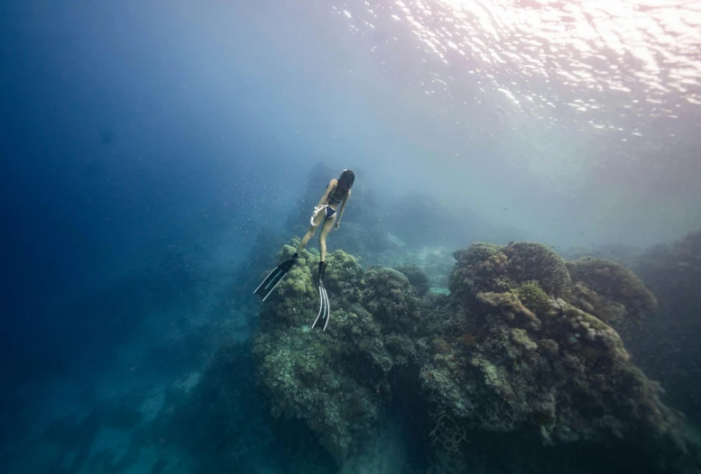 a person swimming in the ocean with a snorg, by Jessie Algie, pexels contest winner, delicate coral sea bottom, hanging, descent, trident