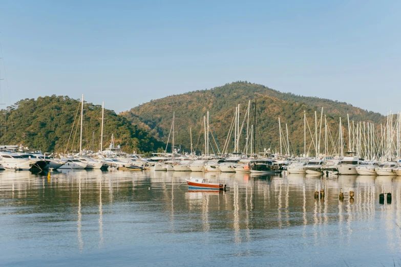 a large body of water filled with lots of boats, pexels contest winner, picton blue, hard morning light, profile image, sangyeob park