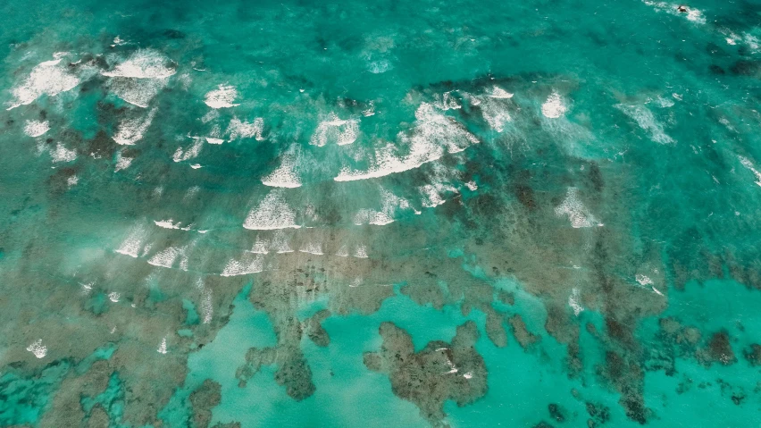 an aerial view of a large body of water, by Carey Morris, pexels contest winner, coral sea bottom, thumbnail, puerto rico, glistening seafoam