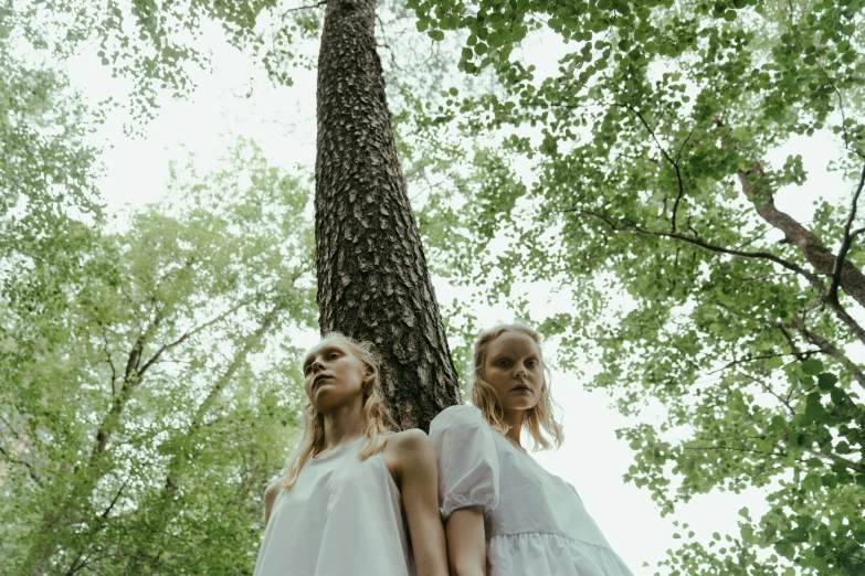 two women in white dresses standing next to a tree, an album cover, unsplash, portrait image, low angle photo, forests, outlive streetwear collection