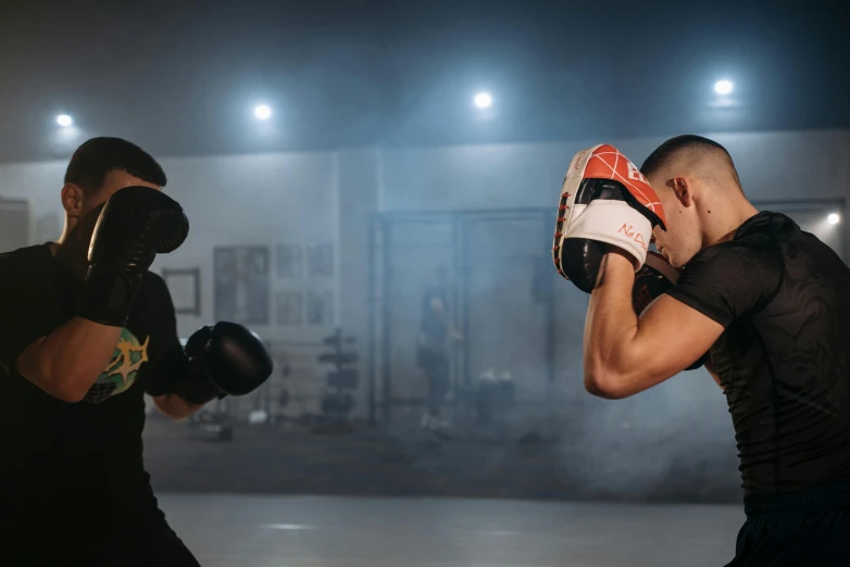 a couple of men standing next to each other wearing boxing gloves, pexels contest winner, profile image, in a dojo, action with run and fight, avatar image