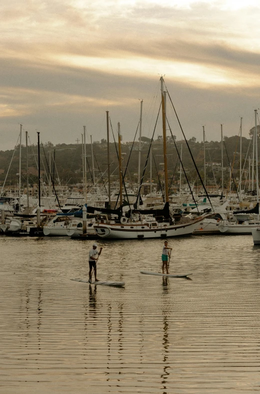 a group of people riding paddle boards on top of a body of water, peaceful evening harbor, carson ellis, three masts, bay