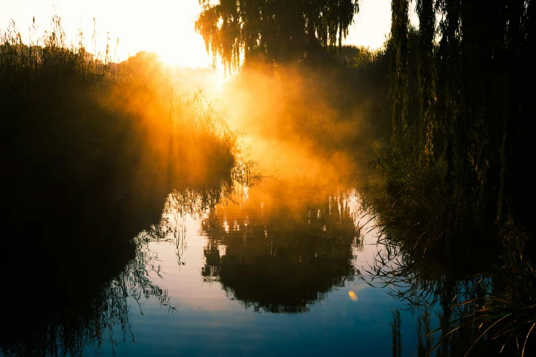 the sun is setting over a body of water, by Sebastian Spreng, pexels contest winner, romanticism, weeping willows, yellow mist, rising steam, high quality photo