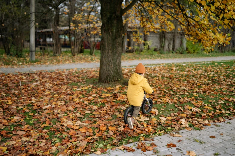 a little boy that is standing in the leaves, by Jaakko Mattila, visual art, riding a bike, parks and public space, brown, yellow