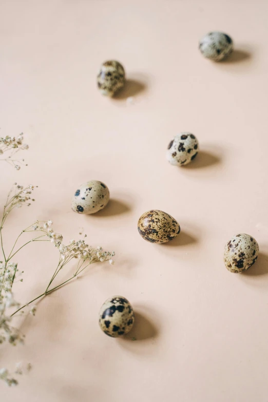 a bunch of eggs sitting on top of a table, by Ellen Gallagher, trending on unsplash, baroque, white with black spots, flower buds, small animals, thumbnail