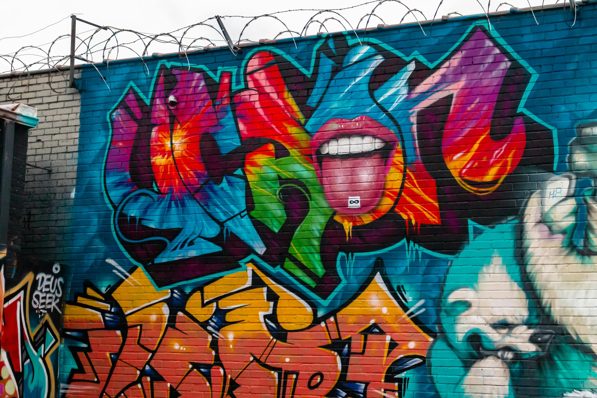 a red fire hydrant sitting in front of a wall covered in graffiti, graffiti art, by Derf, pexels, graffiti, coloured in teal and orange, lips, multicoloured, cleveland